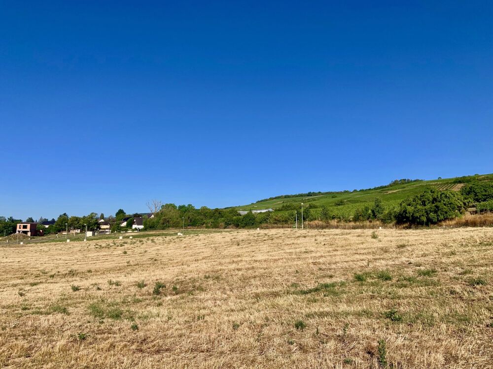 Vente Terrain Marlenheim, terrain à bâtir de 451m2 Marlenheim