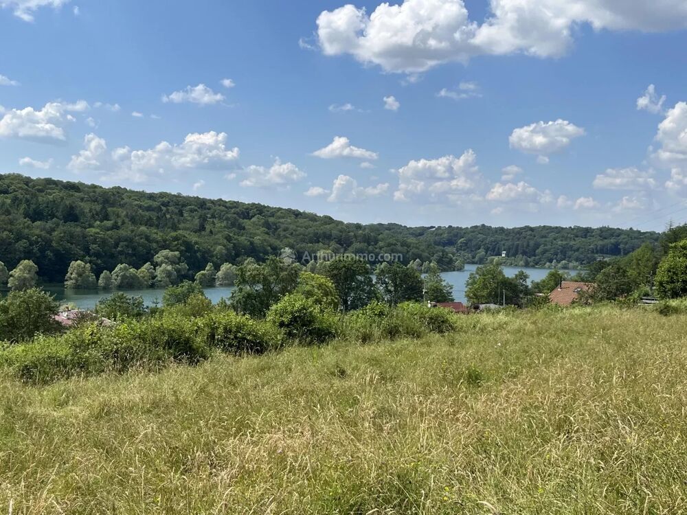 Vente Terrain Terrain constructible vue sur le lac Perrancey-les-vieux-moulins