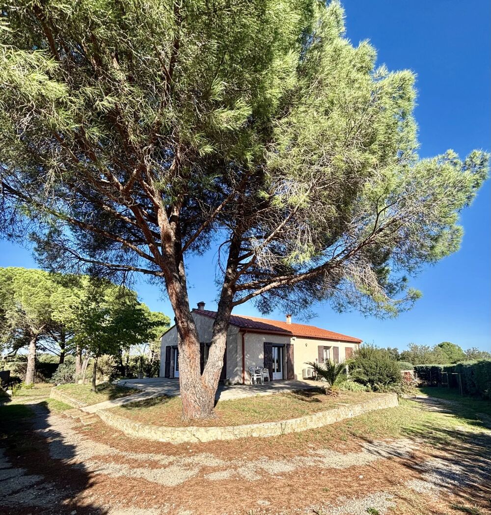 Vente Maison Villa avec grand terrain Villelongue-dels-monts