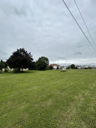  Terrain à vendre 1000 m²