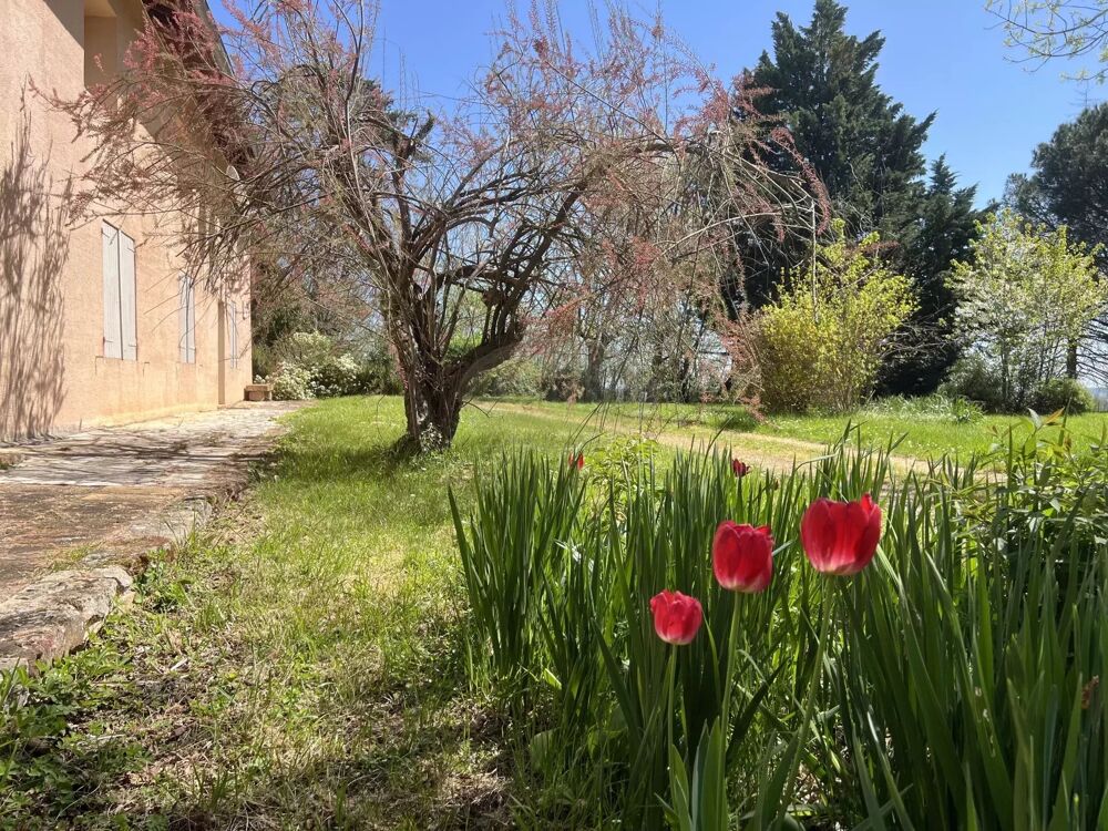 Vente Maison Domaine authentique 39ha Tarn Puycelsi