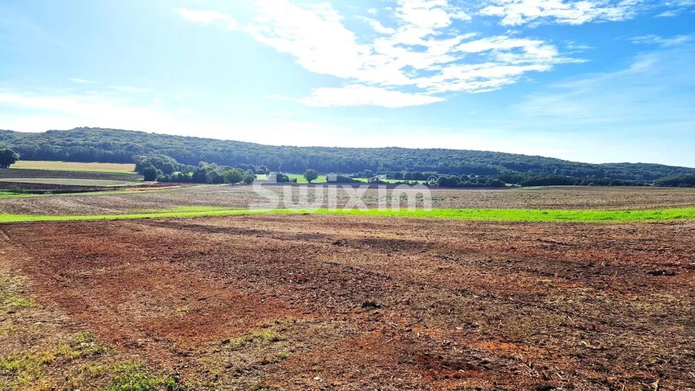 Vente Terrain TERRAIN  A BATIR 880 m² Avrigney-virey