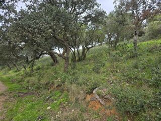  Terrain � vendre 27425 m�