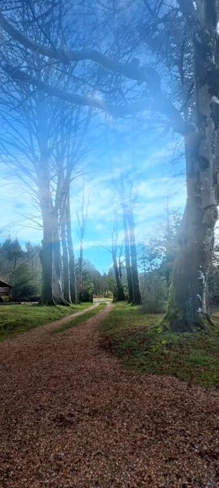  Maison � vendre 15 + pi�ces 479 m�