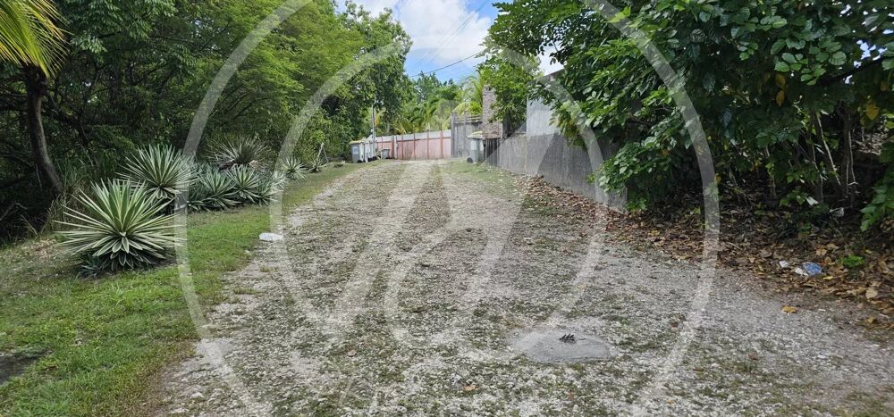 � vendre  Maison Le Gosier (97190)