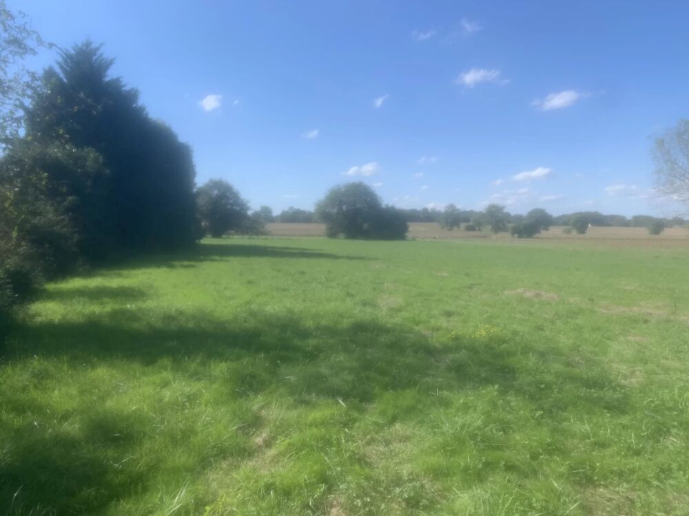 Vente Terrain TERRAIN A VENDRE - GER 64320 - FRANCE Ger