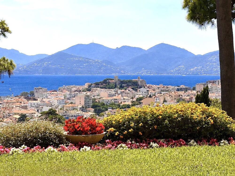 Vente Appartement Cannes Vente 3/4 pièces au calme absolu vue mer Cannes