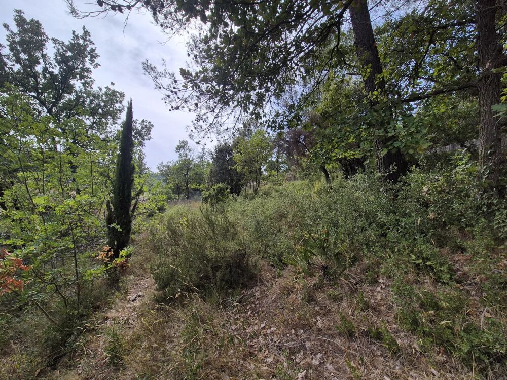Vente Terrain Terrain Le Luc - 1229 m² - Non constructible Le luc