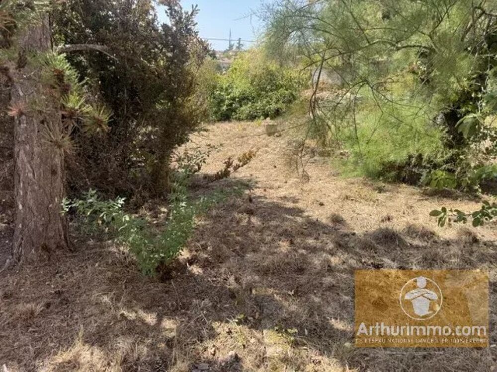 Vente Terrain terrain constructible avec maison de vigne Millau