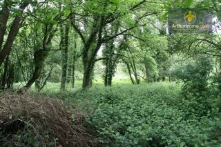  Terrain � vendre 53650 m�