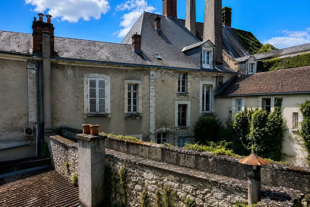 Vente Maison Ensemble immobilier de caractère de 522 m² Montargis