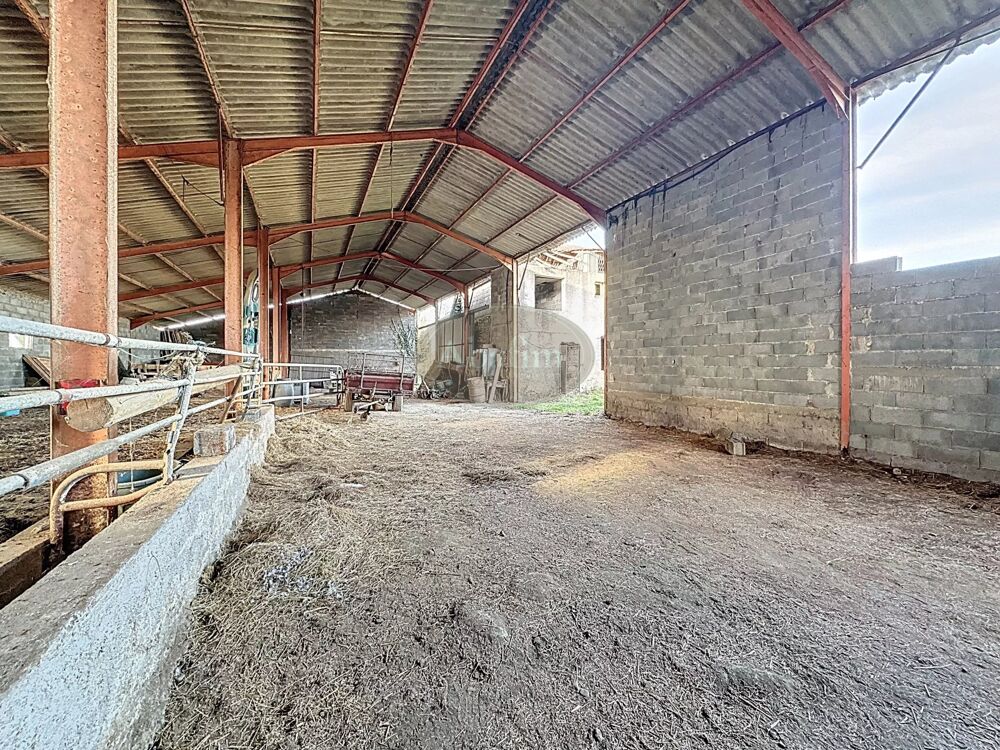 Propriété de caractère 1.7ha