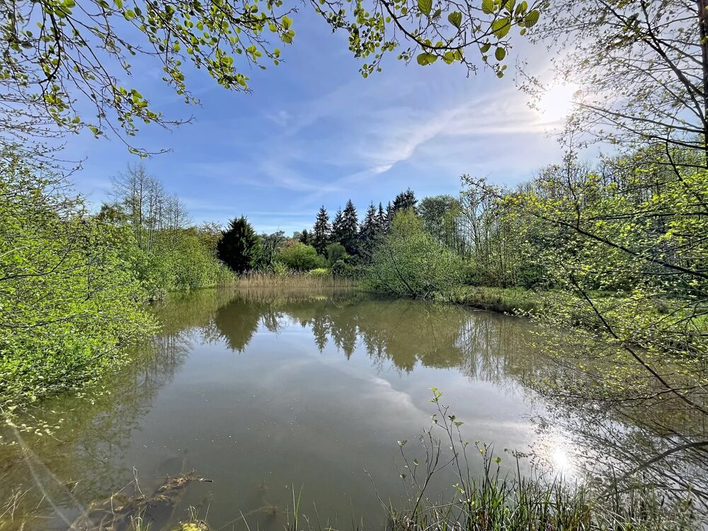 Vente Terrain Terrain de loisir 1 hectare avec 2 étangs Bourguignon-sous-montbavin