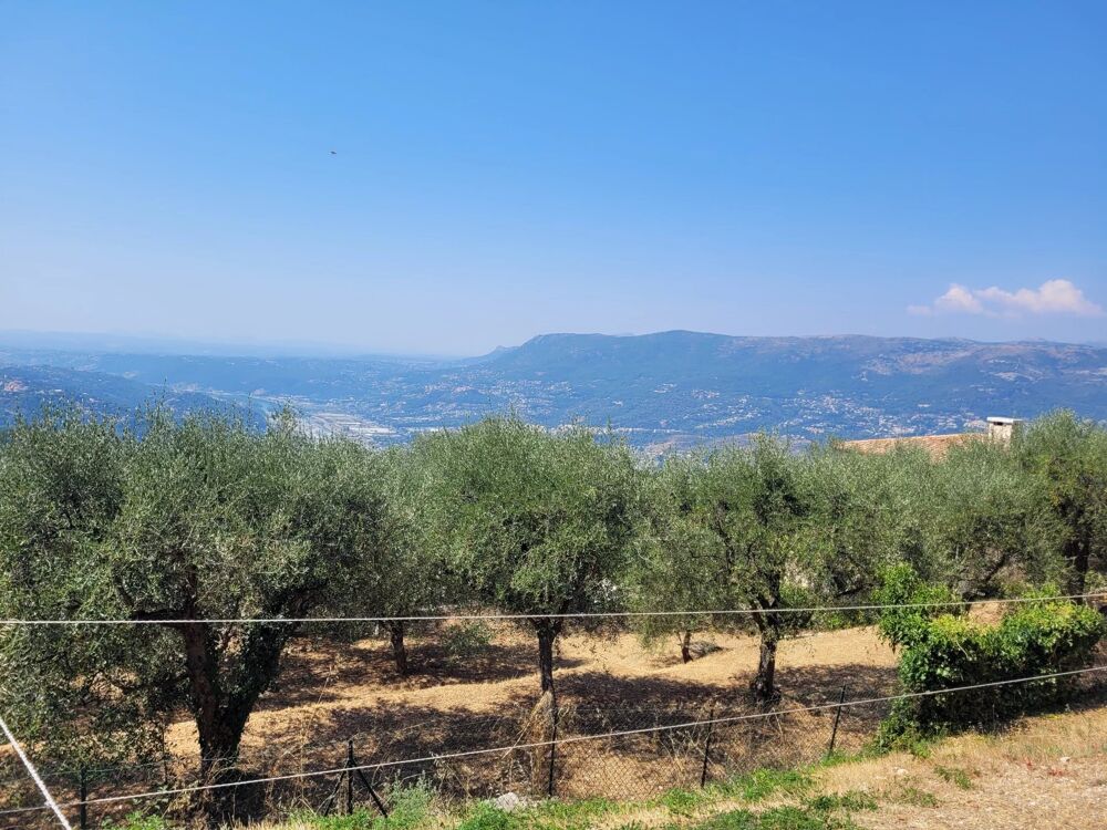 Vente Terrain Aspremont Terrain agricole Aspremont