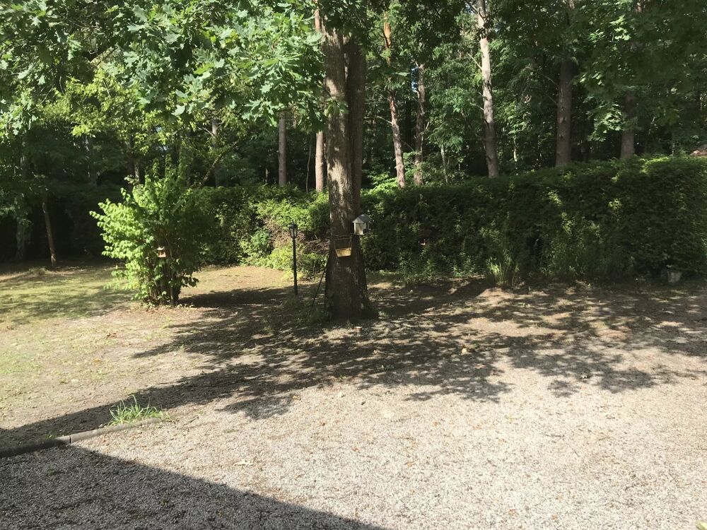 à vendre  Villa Noisy-sur-École (77123)