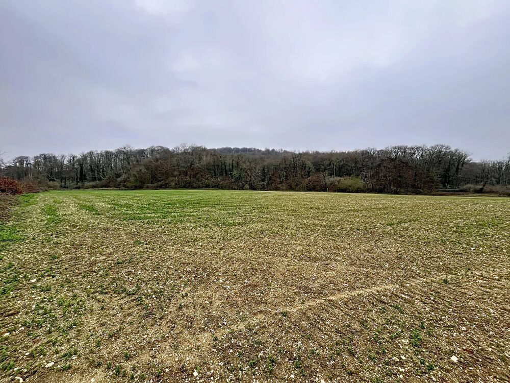 Vente Terrain A vendre Terrain agricole constructible – Festieux Festieux