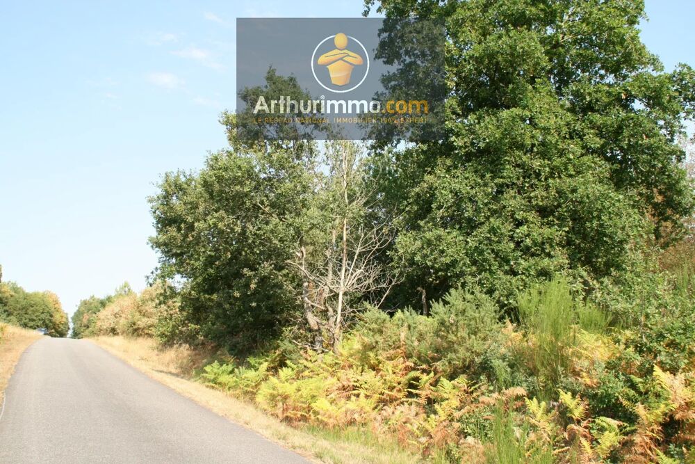 Vente Terrain BILLIO - TERRAIN BOISÉ DE 9 900 M² Billio