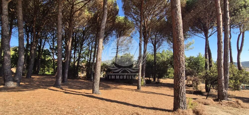Vente Terrain TERRAIN CONSTRUCTIBLE Le plan-de-la-tour