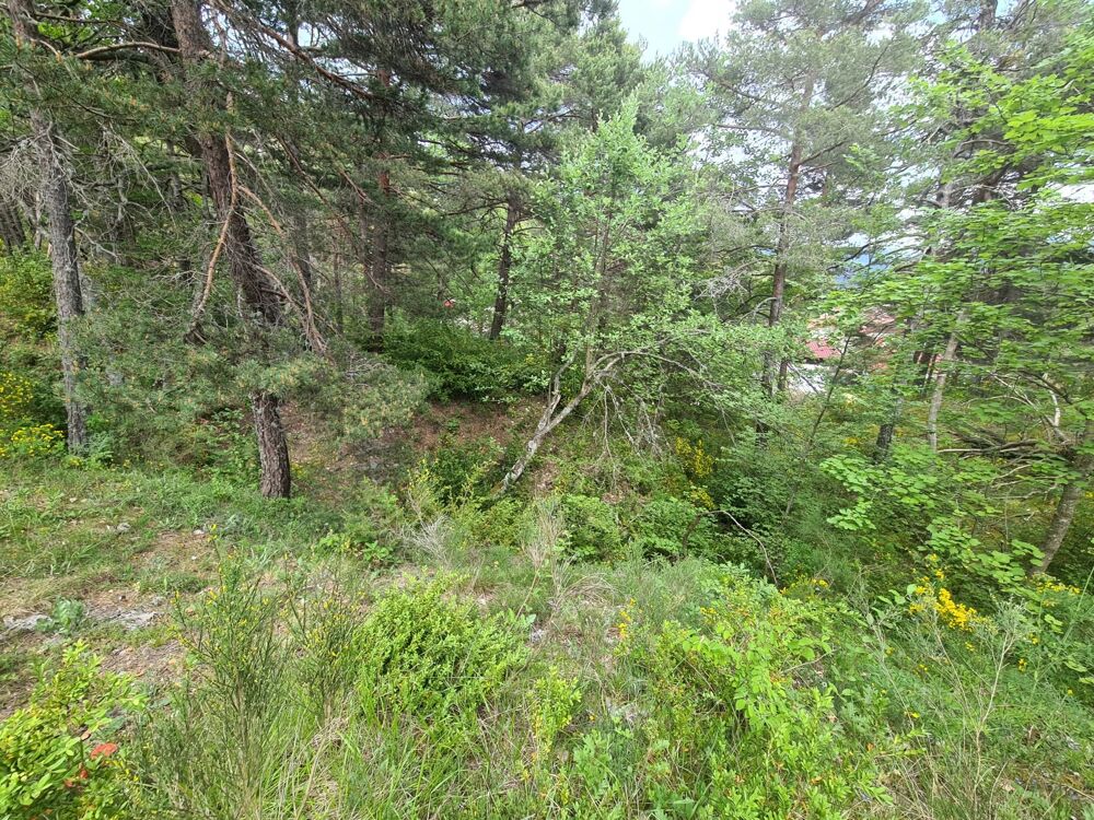 Vente Terrain THORENC :   Magnifique terrain de 2 578 m² Andon
