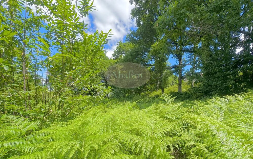 Vente Terrain Terrain constructible proche de Tarbes Barbazan-debat