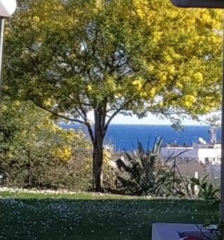  Appartement � vendre 2 pi�ces 50 m�