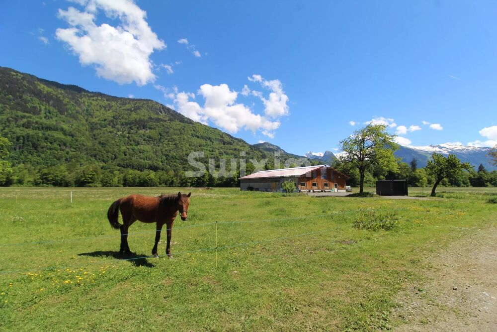 Vente Maison Ensemble d'exception : ferme 350 m² + hangar 390 m², +3 ha const Morillon