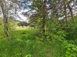 Vente Terrain THORENC : Terrain à vendre  1 896 m² de nature Andon