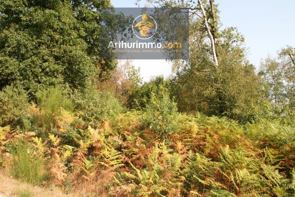 Vente Terrain BILLIO - TERRAIN BOISÉ DE 9 900 M² Billio