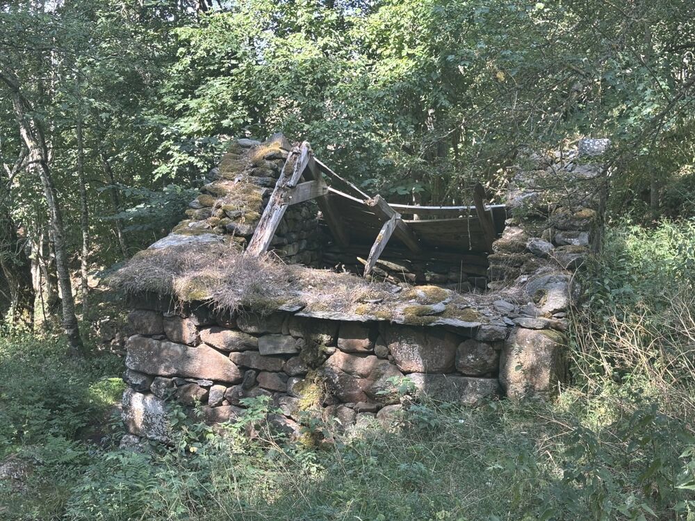 Vente Maison EXCLUSIVITÉ - TERRAIN DE 1 716 M² AVEC DEUX RUINES EN PIERRE Freycenet-la-cuche