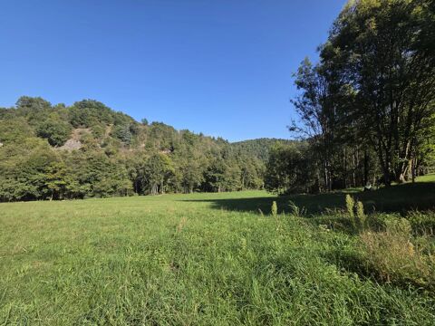  Appartement � louer 11416 m�