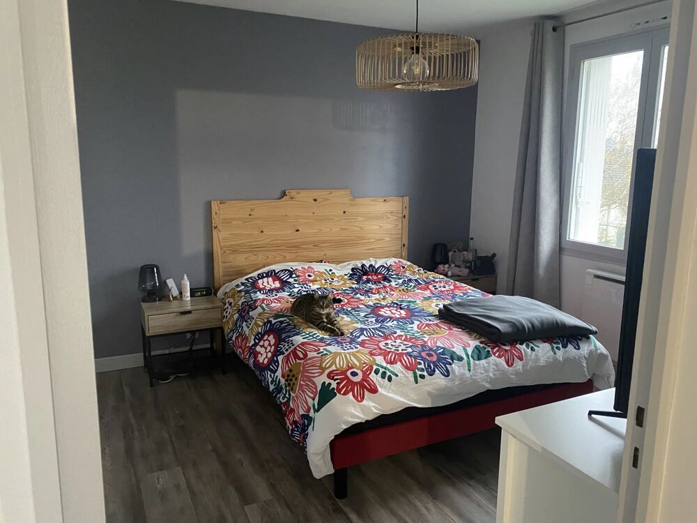 Appartement T3 - Orléans