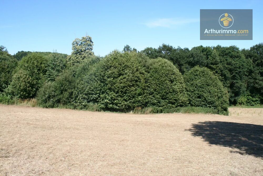 Vente Terrain JOSSELIN TERRAIN AGRICOLE 16 300 M² Josselin