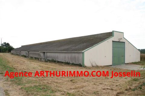 JOSSELIN GRAND ENTREPOT AVEC TERRAIN 4 000 M² 54500 56120 Josselin