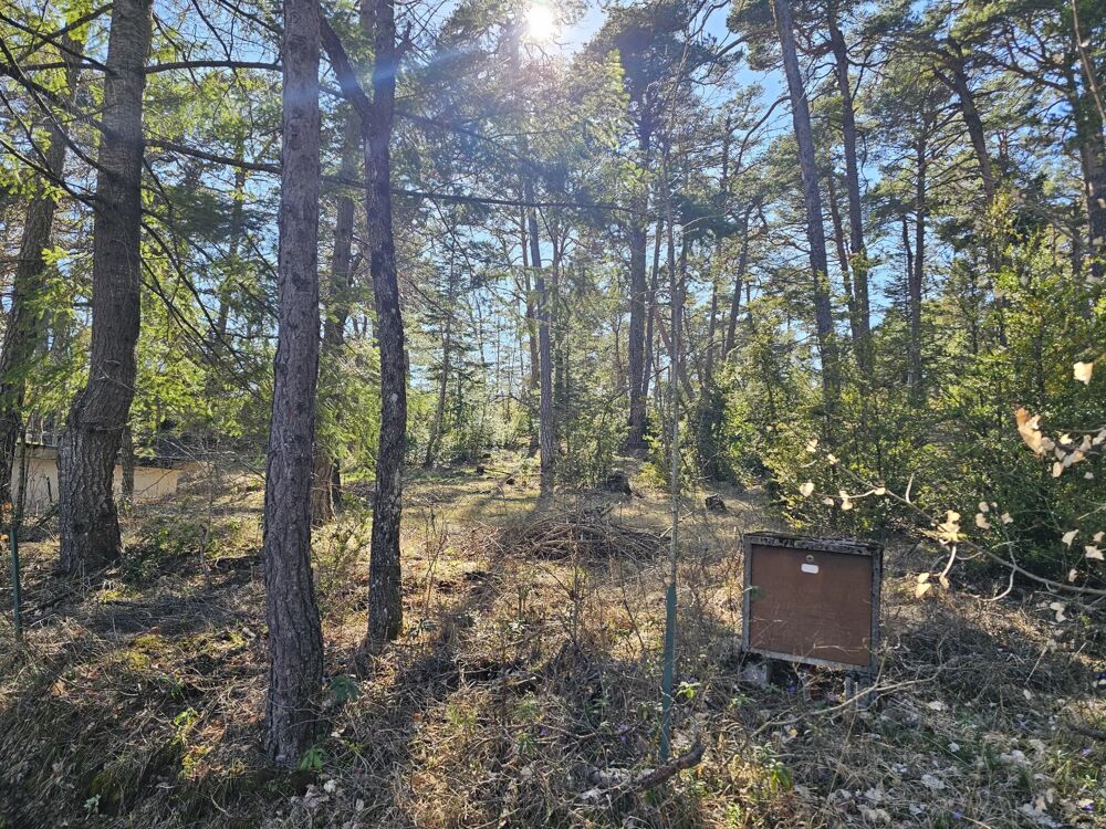 Vente Terrain Thorenc – 4 480 m² constructibles avec double garage et possibil Andon