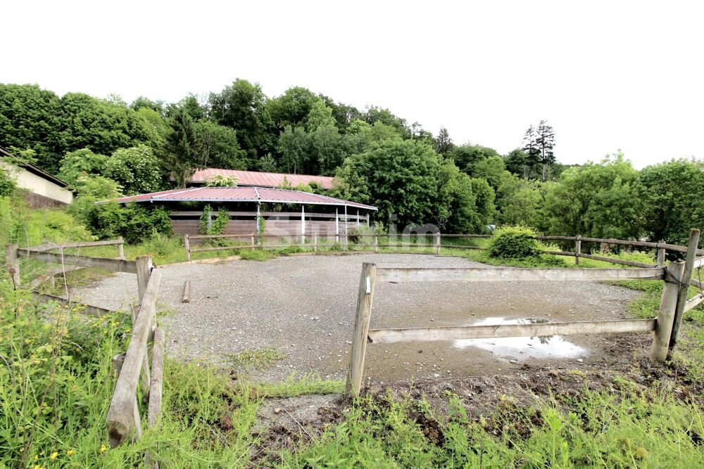 Propriété équestre à fort potentiel avec 2 hectares proche Genèv