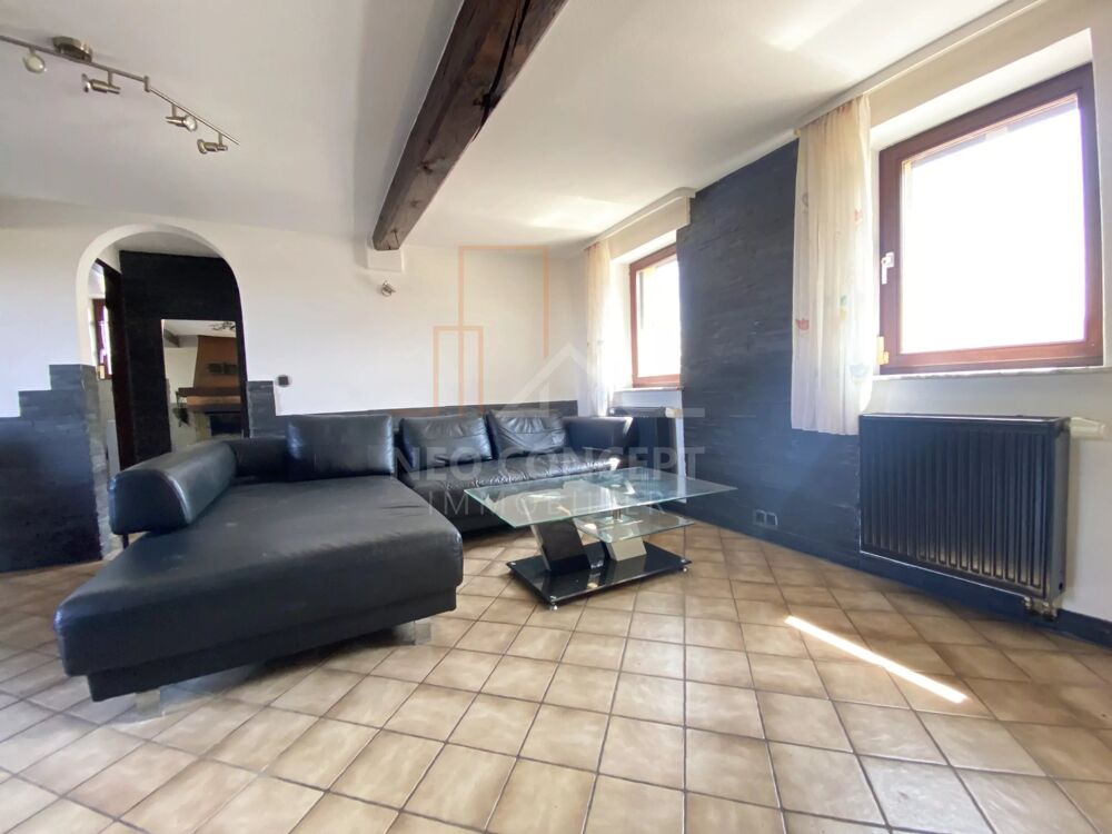 Vente Maison Maison avec garage et terrain de loisirs à Schleithal Schleithal