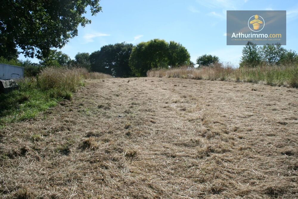 Vente Terrain JOSSELIN TERRAIN AGRICOLE 16 300 M² Josselin