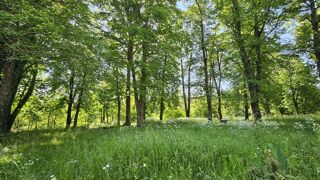  Maison � vendre 5 pi�ces 200 m�