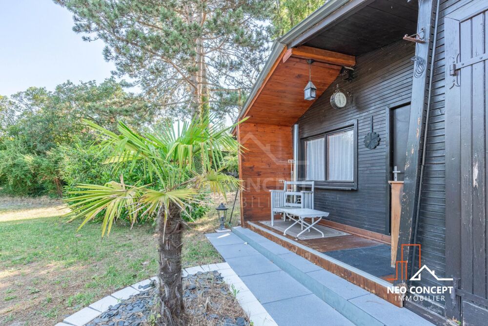 à vendre  Villa Haguenau (67500)