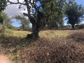  Terrain � vendre 6389 m�