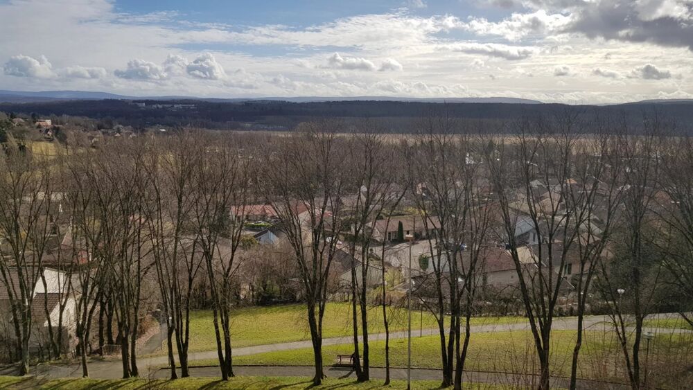 Location Appartement Bel appartement - Petite Hollande Montbéliard