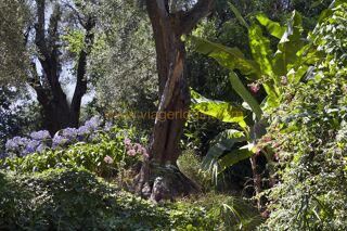  Maison  vendre 10 pices 713 m