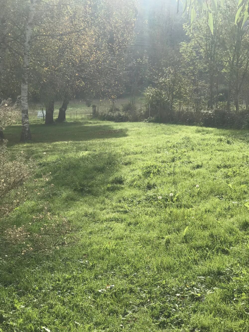 Vente Terrain TERRAIN CONSTRUCTIBLE Ardiège