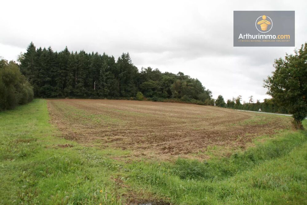 Vente Terrain GUEGON TERRAIN 4.52 HECTARES Guégon