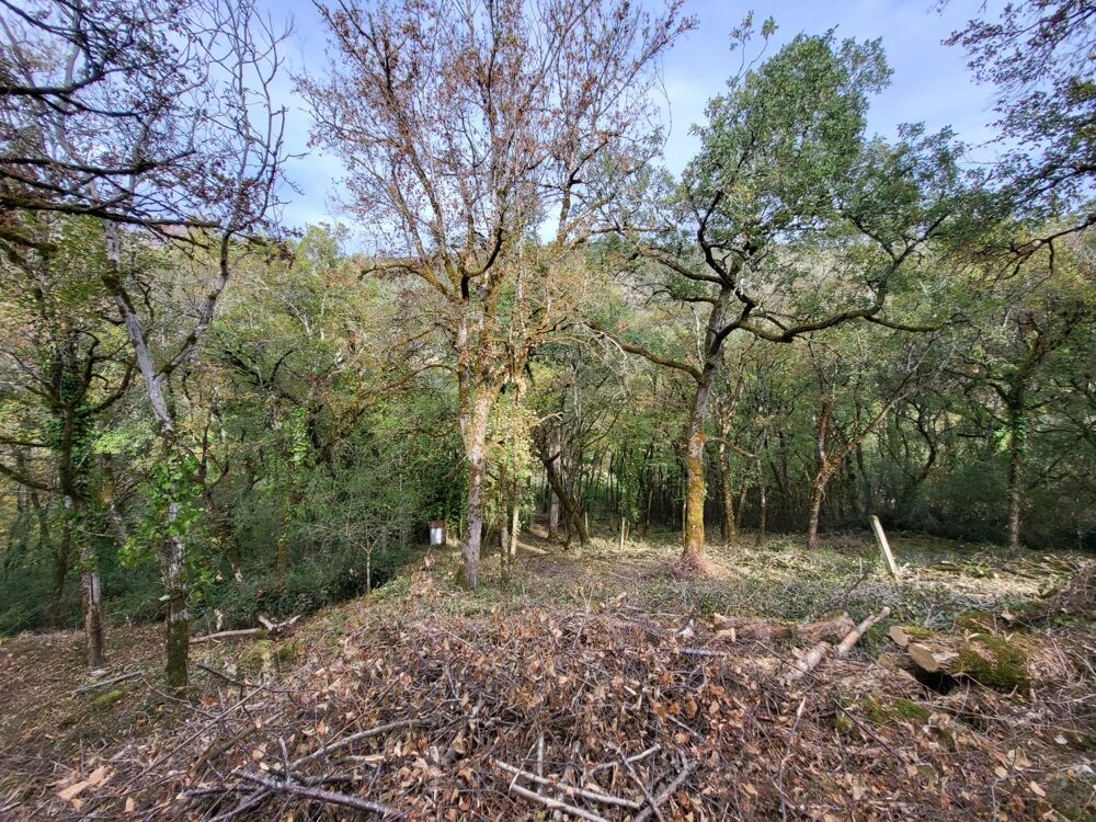 Vente Maison Btisse en pierre  rnover Cazals