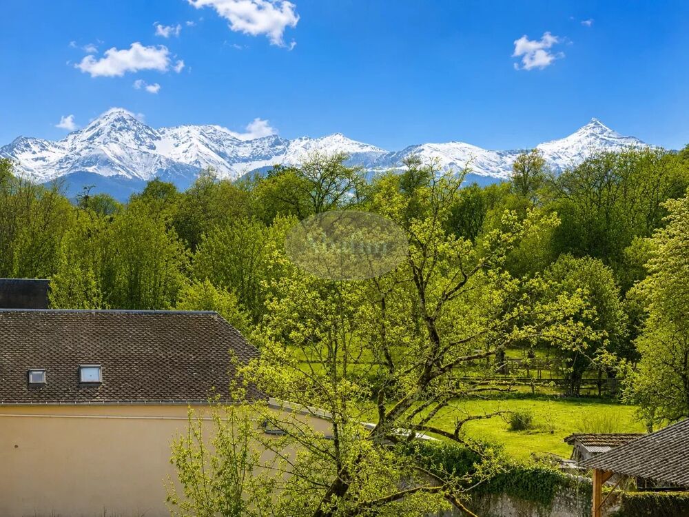 Bigourdane vue Pyrénées