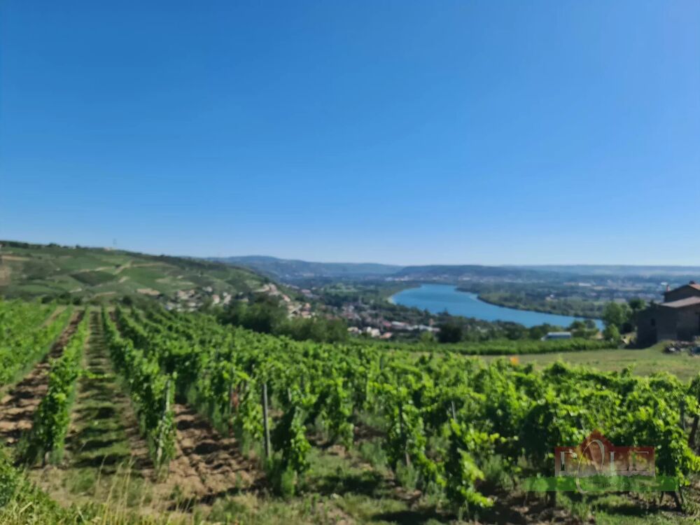 Mas Provençale T6 de 200m² dans cadre unique