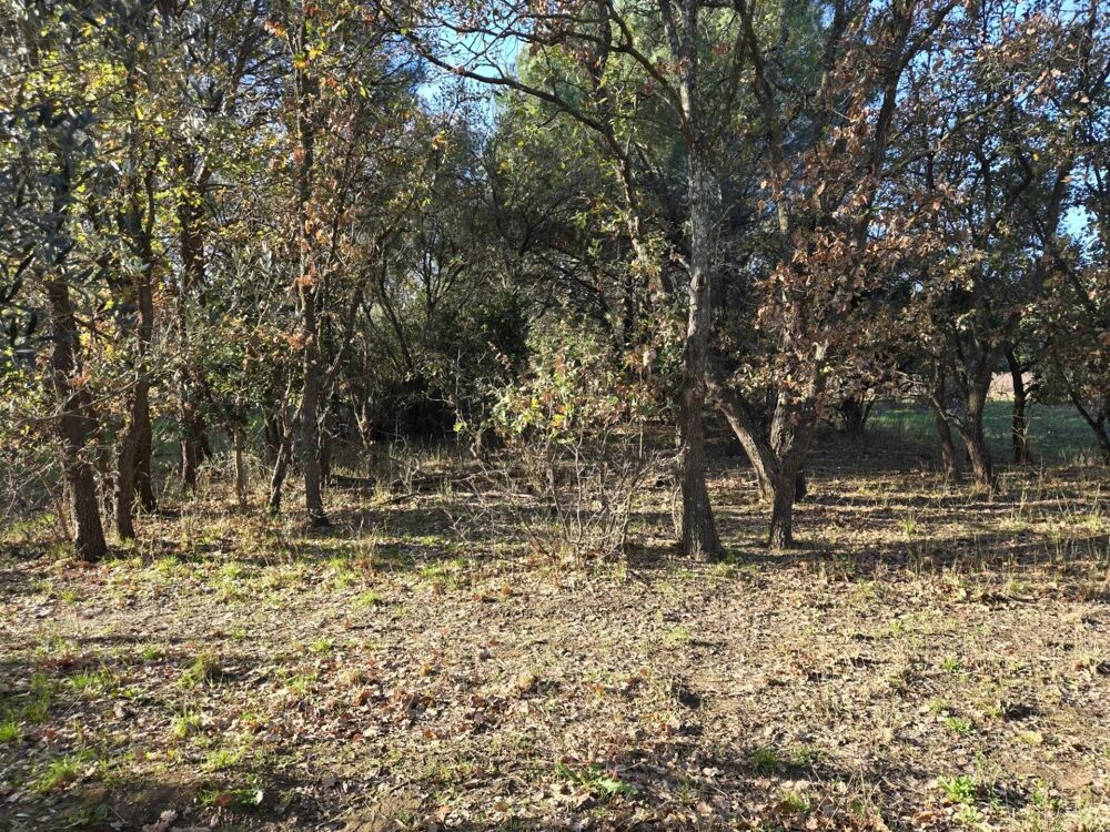 Vente Terrain Terrain Agricole à Bormes-les-Mimosas, 1056 m² Dispo Bormes-les-mimosas