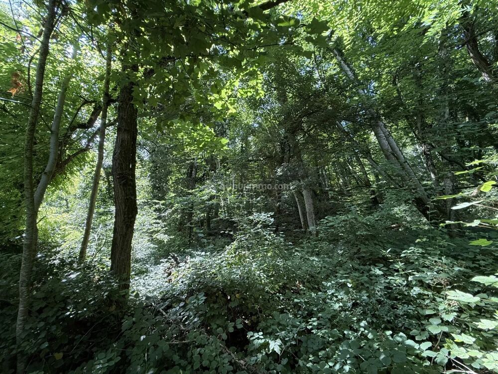 Vente Terrain Parcelle de bois Nijon