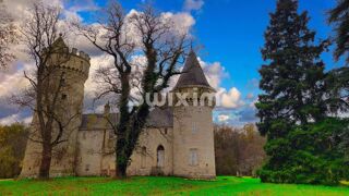  Propriété/château à vendre 15 + pièces 300 m²